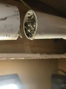 Drain Unblocking Dublin 6W after professional drain cleaning