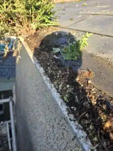 Emergency Plumber County Wicklow drainage service before cleaning